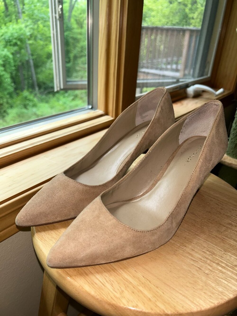Ann Taylor Nude Taupe Suede Pointed Toe Pumps Heels Size 8.5